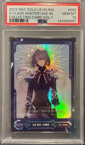 Psa solo leveling - 10, cha